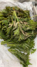 農大姐妹香椿 香椿芽新鮮露天香椿芽葉 山東露天紅油香椿  季節原因偏綠 現摘嫩芽2斤（順豐冷鏈） 曬單實(shí)拍圖