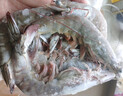 CP正大泰國進(jìn)口大蝦凈重2.8斤/盒 加大號21-25 海鮮燒烤 無(wú)冰凈重 曬單實(shí)拍圖
