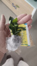 小盆梔子花盆栽四季開(kāi)花不帶花苞室內綠蘿水培花卉綠植物好養易活 20-30cm【1株】好多月開(kāi)花 濃香型梔子花【帶花苞】10天開(kāi)花 曬單實(shí)拍圖