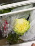 【霜打菜】高原面包甘藍約500g 曬單實(shí)拍圖