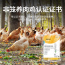 楊博士 皖南散養(yǎng)土雞4只 凈重4斤 未打鳴小公雞童子雞三黃雞源頭直發(fā) 曬單實拍圖