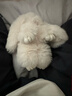 廠(chǎng)家直供仿獺兔毛裝死兔掛件 可愛(ài)萌萌兔毛絨 包包手機車(chē)飾鑰匙扣 米白色 曬單實(shí)拍圖