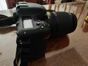尼康（Nikon）【國家補貼】D7500單反相機數碼相機照相機可搭18-140套機/D7500單機身 D7500 DX18-140mm套機 官方標配【送鋼化膜+清潔套+曬單送三腳架】 曬單實(shí)拍圖