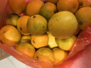 京鮮生 廣西砂糖橘 凈重4.5斤 單果35-45mm  生鮮禮品 源頭直發(fā)包郵 曬單實(shí)拍圖