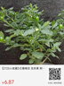 三諾優(yōu)準血糖儀脫氫酶醫(yī)用高精準家用低痛檢測語音彩屏 儀器+100試紙 曬單實拍圖
