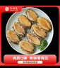 江船長(cháng)無(wú)殼鮑魚(yú)肉凈重110g(12粒） 活鮑加工 火鍋燒烤海鮮 生鮮  曬單實(shí)拍圖
