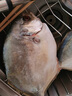 環(huán)球水產(chǎn) 南海金鯧魚(yú)凈重2斤/2條 生鮮魚(yú)類(lèi) 深海魚(yú) 海鮮 中秋家庭聚餐 曬單實(shí)拍圖