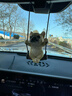迪加倫斗牛犬汽車(chē)掛件可愛(ài)小狗車(chē)內吊墜女生卡通車(chē)載裝飾后視鏡掛繩 曬單實(shí)拍圖