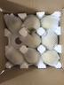 京鮮生 河北青翠蜜梨 凈重4.5斤 單果250g+ 青皇冠梨 生鮮水果 源頭直發(fā) 曬單實(shí)拍圖