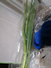 蘸醬小蔥100g 曬單實(shí)拍圖