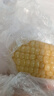 京鮮生東北白糯玉米250g*10棒 新鮮甜糯玉米棒真空包裝粘玉米 源頭直發(fā) 曬單實(shí)拍圖