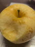 趣嘗鮮山東黃金維納斯蘋(píng)果 凈重4.5斤 單果180g+ 生鮮水果 源頭直發(fā) 曬單實(shí)拍圖