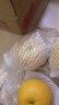 京鮮生山東煙臺萊陽(yáng)秋月梨凈重3斤單果250g+ 新鮮水果 源頭直發(fā)包郵 曬單實(shí)拍圖