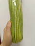 京喜加菜新鮮蒜苔生鮮蔬菜即食涼拌蒜苔 【嘗鮮】1斤 曬單實(shí)拍圖