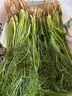 茗君鮮順豐包郵山東茴香菜新鮮茴香苗現摘頭茬葷香嫩葉小茴香餃子餡蔬菜 茴香2斤（順豐包郵） 曬單實(shí)拍圖