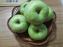 南步山東王林蘋(píng)果【JD速發(fā)】日本青森水蜜桃蘋(píng)果雀斑美人蘋(píng)果新鮮水果 9斤 精選中果【單果75mm+】 曬單實(shí)拍圖