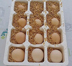 九華山土雞蛋鮮雞蛋40-50g早餐超市禮盒生鮮溏心蛋水煮蛋 10枚 曬單實(shí)拍圖