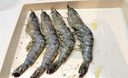 1號會(huì )員店 泰國活凍黑虎蝦 斑節對蝦 海鮮水產(chǎn) 凈重2斤（31-40只） 曬單實(shí)拍圖