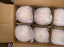 京地達山東秋月梨凈重5斤單果400g+新鮮生鮮水果 脆甜梨子 源頭直發(fā)包郵 曬單實(shí)拍圖