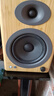 聲擎（Audioengine）【國(guó)家補(bǔ)貼】A5+Wireless 電腦桌面音響臺(tái)式 家用藍(lán)牙音箱 書架有源音箱 焦糖竹 曬單實(shí)拍圖