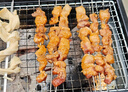 尚烤佳不銹鋼烤針 烤肉簽 烤串簽子 羊肉串圓簽子扁簽子 60支 曬單實(shí)拍圖