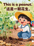 隨風(fēng)而來(lái)的瑪麗阿姨特拉芙斯作品典藏拼音版外國兒童文學(xué)7-9-12歲小學(xué)生一二三年級暢銷(xiāo)書(shū)青少年讀物外國校園小說(shuō)任溶溶譯暢銷(xiāo)書(shū)籍 【注音版】隨風(fēng)而來(lái)的瑪麗阿姨 曬單實(shí)拍圖