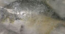 環(huán)球水產(chǎn) 南海金鯧魚(yú)700g 2條 BAP認證深海魚(yú) 冷凍 生鮮魚(yú)類(lèi)海鮮 家庭聚餐 曬單實(shí)拍圖