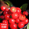 世喜兒童保溫杯直飲吸管杯寶寶大容量水壺316L不銹鋼學(xué)生水杯聯(lián)名款 曬單實(shí)拍圖