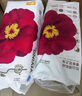 宜嬰紅山茶花拉拉褲3XL弱酸拉拉褲30片尿不濕【品牌直供 安心品質(zhì)】 曬單實(shí)拍圖