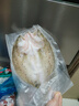 鮮京采三去海鱸魚(yú)3斤/3條 生鮮魚(yú)類(lèi) 白蕉鱸魚(yú)地標 魚(yú)類(lèi)源頭直發(fā) 曬單實(shí)拍圖