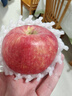 洛川蘋(píng)果陜西延安特產(chǎn)紅富士時(shí)令蘋(píng)果水果禮盒送蘋(píng)果生鮮新鮮脆甜整箱批發(fā) 凈重8.5斤80-85mm 鉑金大果脆甜 曬單實(shí)拍圖