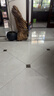 全國上門(mén)保潔小時(shí)工日常清潔深度去油污全屋打掃擦玻璃家政服務(wù) 4小時(shí)日常保潔 曬單實(shí)拍圖