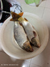 龍王恨魚(yú)餌紅蟲(chóng)鯽X5腥香餌料全年四季通用綜合野釣鯉青草魚(yú)鯽魚(yú)魚(yú)食餌料 秋冬低溫套餐【共660g/3包】 曬單實(shí)拍圖