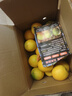 京鮮生 江西贛南臍橙 凈重8斤裝 單果200g+ 生鮮水果 源頭直發(fā)包郵 曬單實(shí)拍圖