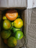青饞貓湖北宜昌蜜桔特早青皮蜜桔新鮮橘子新鮮時(shí)令水果薄皮水果柑橘子 凈重4.5-5斤 中果【60-70mm】 曬單實(shí)拍圖