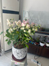 花城水調(diào)三角梅綠櫻勤花喜陽(yáng)花卉植物陽(yáng)臺(tái)庭院小盆栽廣東四季開花好養(yǎng)活 綠櫻三角梅配手工煙花盆 曬單實(shí)拍圖