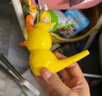 乖明星水鳥(niǎo)口哨兒童發(fā)音訓練可注水加水會(huì )學(xué)鳥(niǎo)叫嬰幼兒喇叭小鳥(niǎo)哨子玩具 曬單實(shí)拍圖