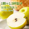隰縣玉露香梨 【順豐現貨】整箱香梨當季水果山西隰縣小西天特產(chǎn) 孕婦水果送禮 9粒大果（凈重5-6斤）單果80+mm 曬單實(shí)拍圖