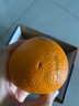 新奇士（Sunkist）澳大利亞藍標早臍橙/橙子8斤禮盒裝 超大果 新鮮水果 中秋禮盒 曬單實拍圖