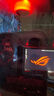 ROG STRIX X870-H GAMING WIFI7 S RO姬主板支持 9950X3D/9800X3D (AMD X870/socket AM5)  曬單實(shí)拍圖