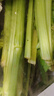新鮮大西芹現割現發(fā)榨汁西芹首選水果西芹鮮嫩蔬菜生鮮減肥減脂 新鮮西芹3斤 曬單實(shí)拍圖