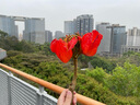 炊大皇小黃鴨聯(lián)名款 盆篩五件套304不銹鋼加厚洗菜水果和面瀝水盆4盆1篩 曬單實(shí)拍圖