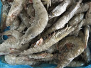 GUO LIAN國聯(lián) 國產(chǎn)鹽凍大蝦 無(wú)冰凈重3斤 特大號45-60只 白對蝦海鮮生鮮 曬單實(shí)拍圖