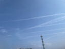 黃天鵝可生食雞蛋30枚/3.18斤禮盒裝生鮮雞蛋京東自營(yíng)無(wú)抗生素 中秋禮盒 曬單實(shí)拍圖