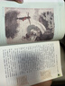 西游記（升級版） 人教版名著閱讀課程化叢書 七年級上（共2冊）與2024秋新版初中語文教材配套使用（內(nèi)含微課，從教學(xué)角度講解名著；內(nèi)含閱讀筆記本，為學(xué)生提供測評指導(dǎo)幫助提升整本書閱讀能力） 曬單實拍圖