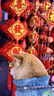 無(wú)印良品（MUJI）女式 棉 靛藍染色 長(cháng)袖連衣裙女裝長(cháng)裙子 春季純棉連身裙BC2JVA4A 藏青色 XL (165/92A) 曬單實(shí)拍圖