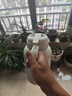 寶威瑪（BVGMAV）保溫壺家用辦公室316L不銹鋼保溫水壺大容量熱水瓶居家高檔禮物2L 曬單實(shí)拍圖