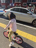 鳳凰（Phoenix）平衡車(chē)兒童平衡車(chē)1-3歲鳳凰兒童平衡車(chē)4-6歲寶寶平衡車(chē)兒童滑步車(chē) 14寸公主粉丨一體輪+閃光燈+禮包 曬單實(shí)拍圖