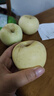 煙臺奶油富士蘋(píng)果 山東棲霞黃蘋(píng)果應季新鮮水果整箱 奶油富士蘋(píng)果帶箱1斤2-4個(gè)果 曬單實(shí)拍圖