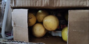 廣西欽蜜9號黃金百香果萬(wàn)澄當季新鮮大果黃皮果奶茶店水果 【大果3斤】約16-20個(gè)單果60-70g 曬單實(shí)拍圖